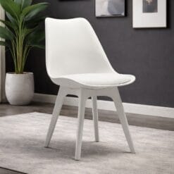 Ghế nhựa cafe MDS-3003E